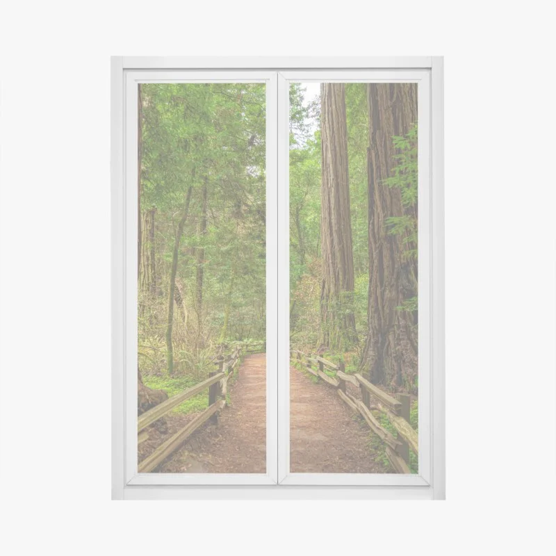 Adesivo per finestra sentiero nella foresta di sequoie • Wallissimo®