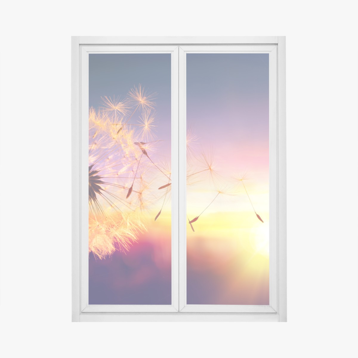 Adesivo per finestra soffione dorato al tramonto • Wallissimo®