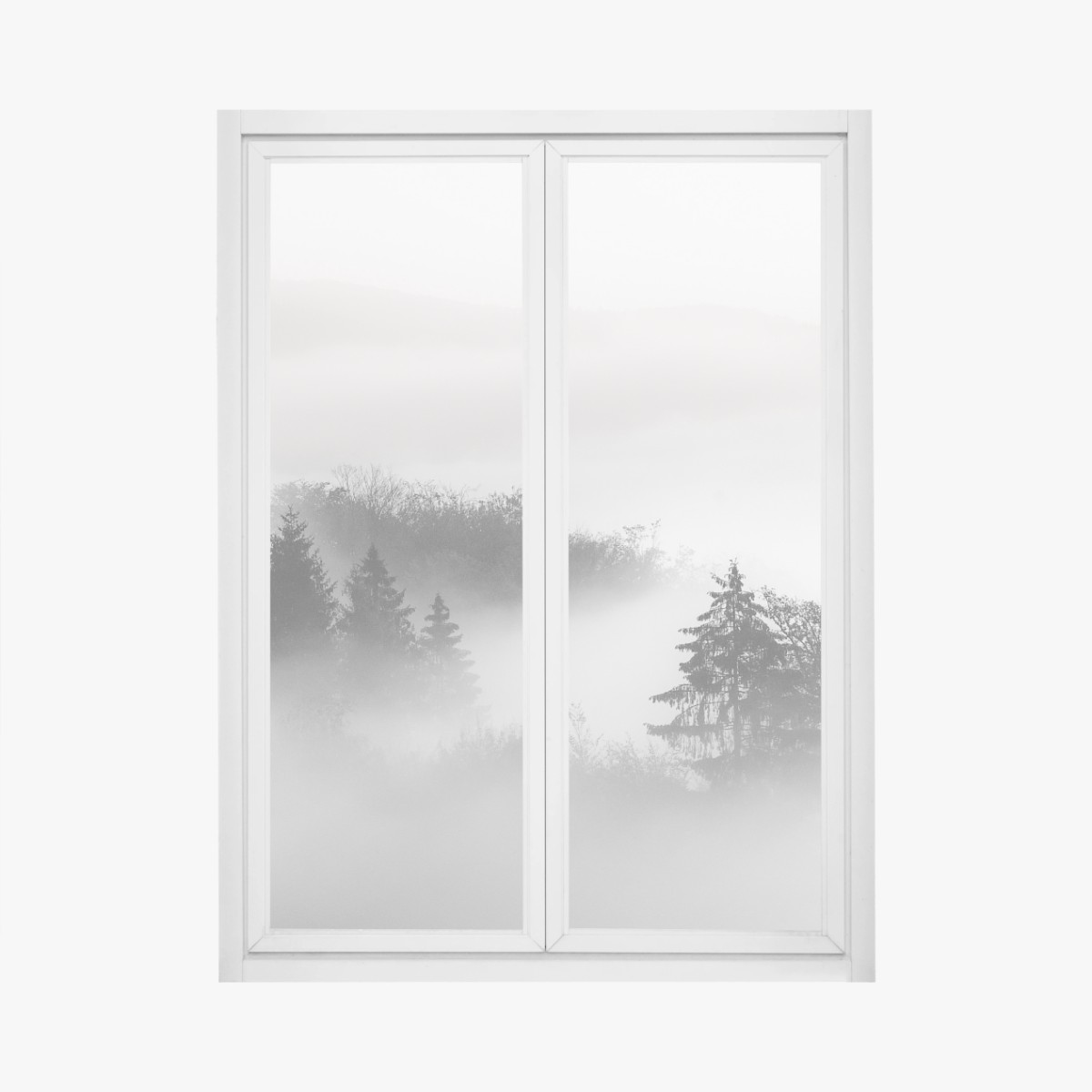 Adesivo per finestra foresta nella nebbia al mattino • Wallissimo®