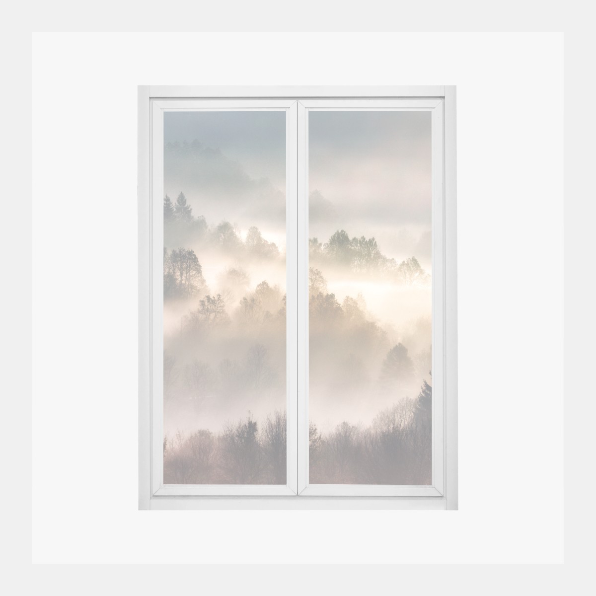 Adesivo per finestra nebbia d'oro sulla foresta • Wallissimo®