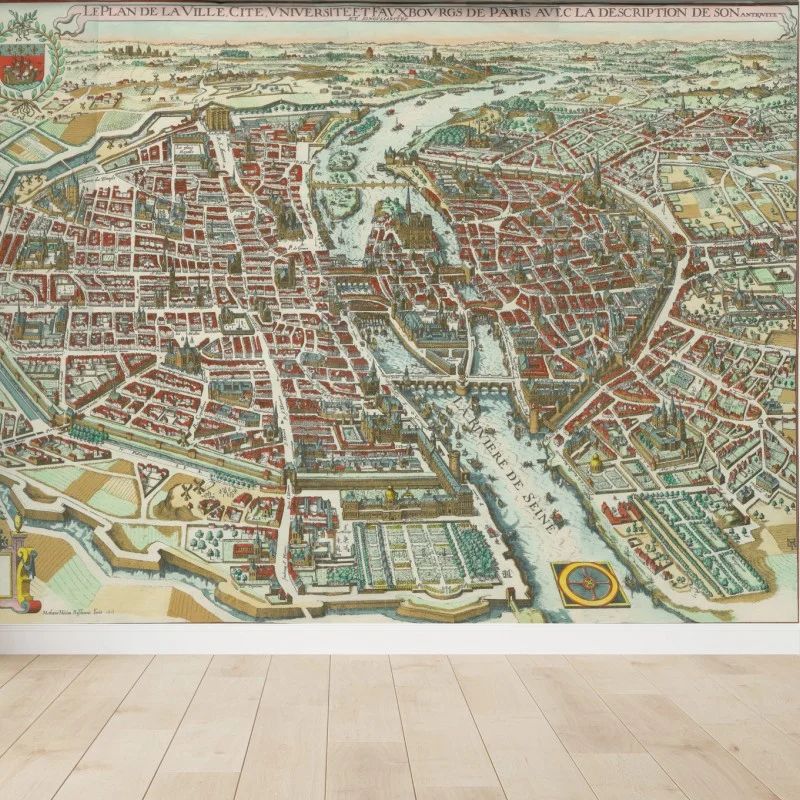 Carta da parati antica mappa panoramica di Parigi e della Senna