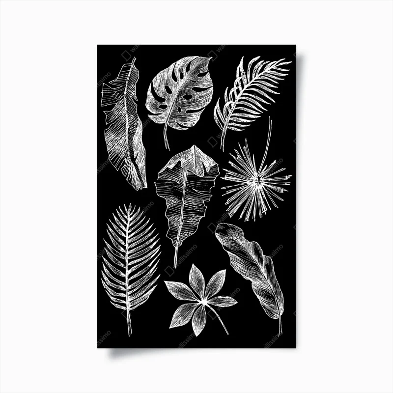 Poster fogliame tropicale a gessetto su sfondo nero