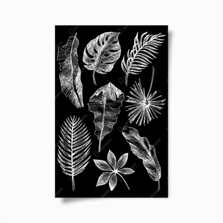 Poster fogliame tropicale a gessetto su sfondo nero • Wallissimo®