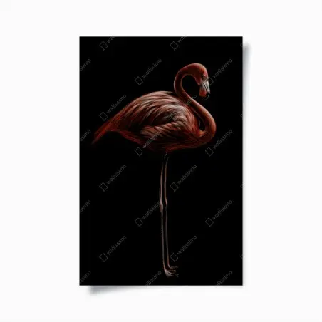 Poster fenicottero rosso su sfondo nero • Wallissimo®