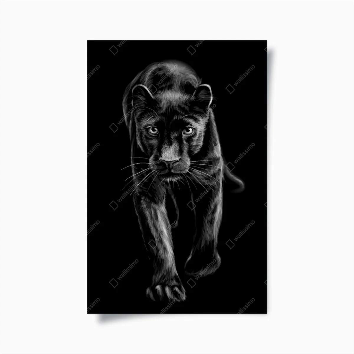 Poster pantera nera in cammino su sfondo scuro • Wallissimo® Poster pantera nera in cammino su sfondo scuro • Wallissimo®