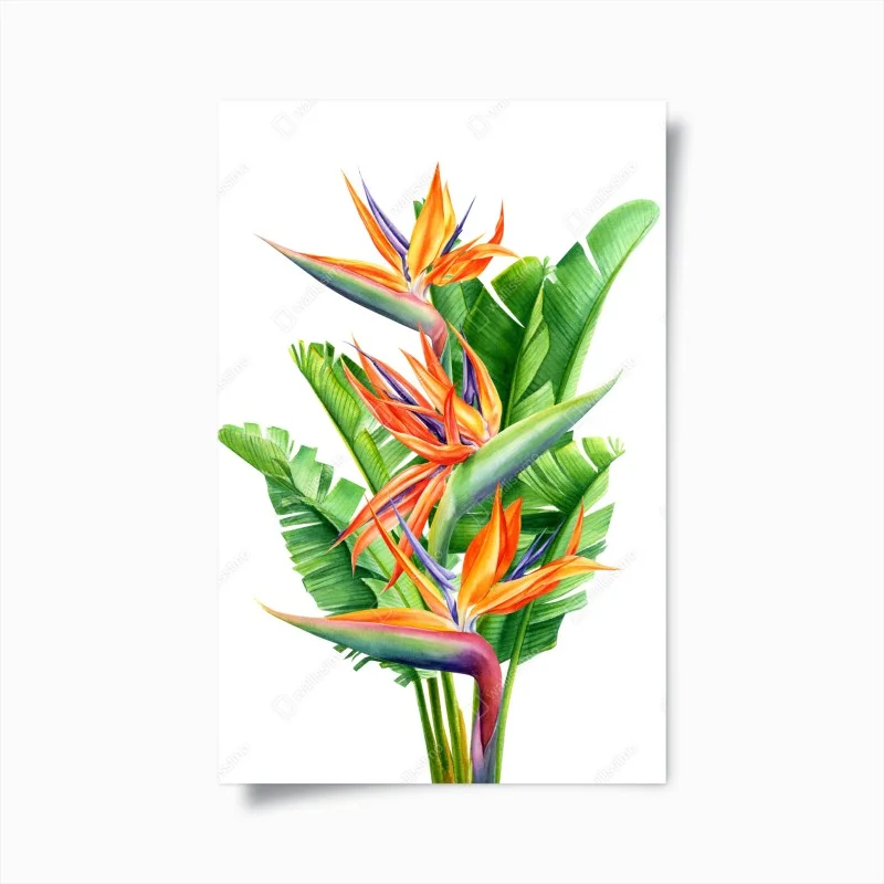 Poster composizione di strelitzia tropicale