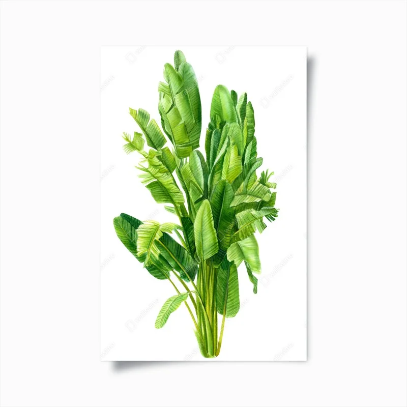 Poster composizione di foglie tropicali in acquerello