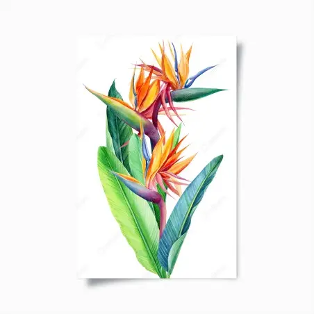 Poster uccello del paradiso: eleganza tropicale • Wallissimo®