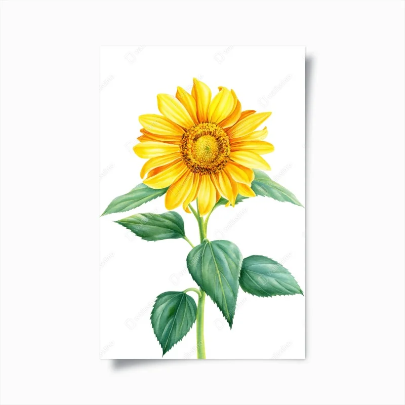 Poster girasole acquerellato luminoso