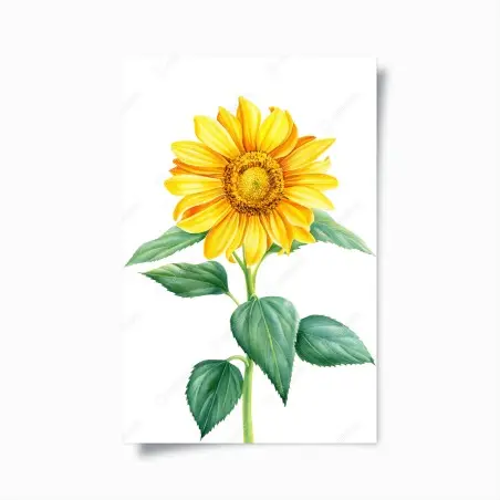 Poster girasole acquerellato luminoso • Wallissimo®