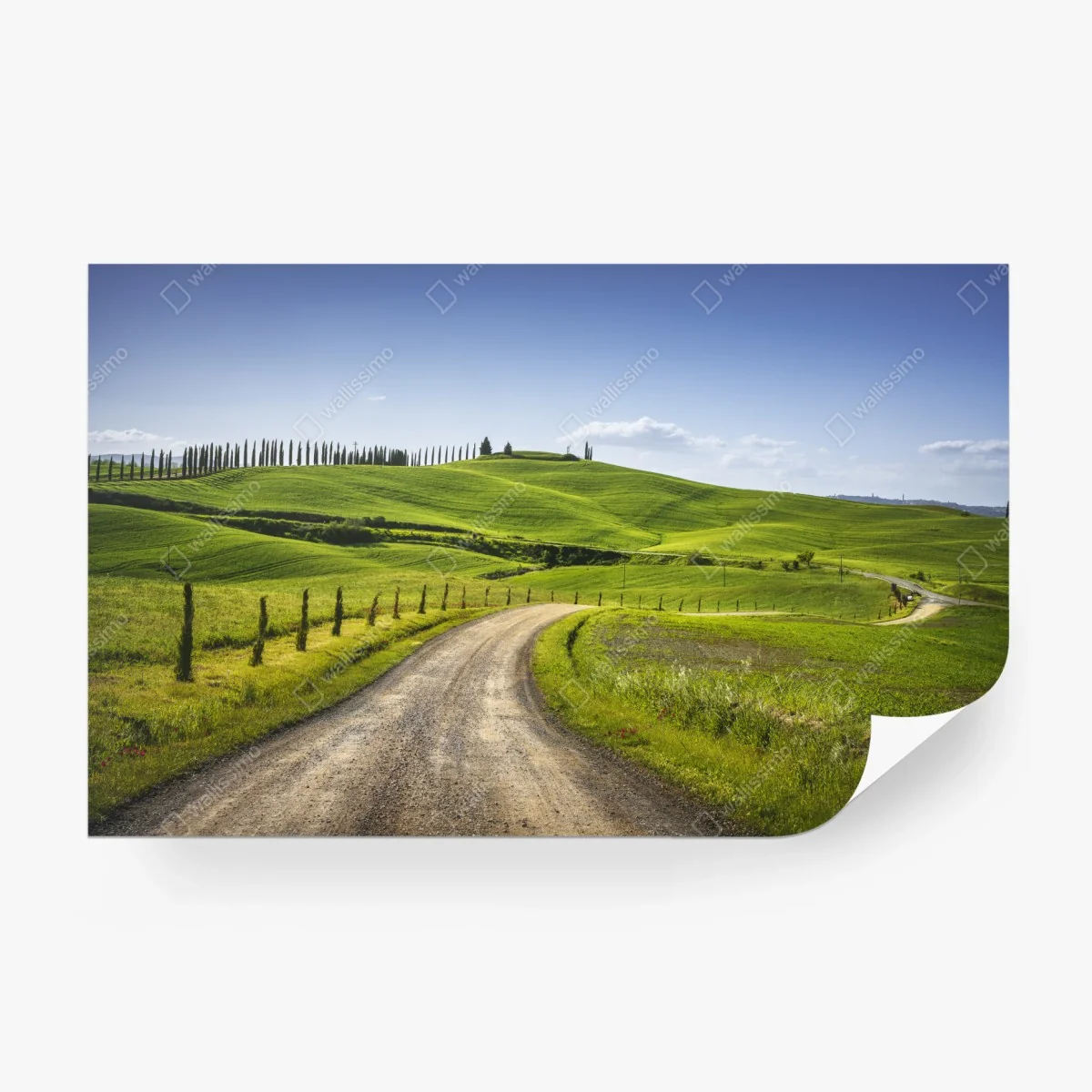 Carta da parati strada sinuosa verso Siena tra le colline della Toscana • Wallissimo®