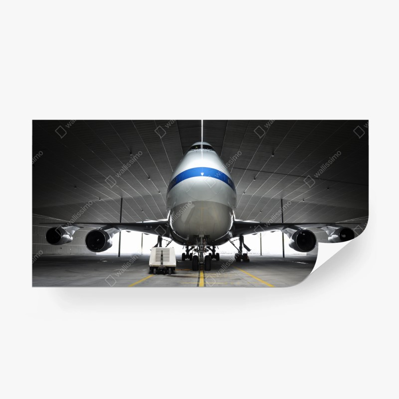 Carta da parati maestoso aereo in hangar vista frontale