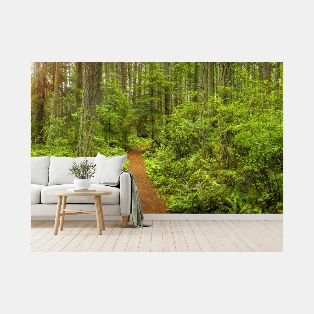 Carta da parati sentiero incantato nella foresta verde • Wallissimo® Carta da parati sentiero incantato nella foresta verde • Wallissimo®