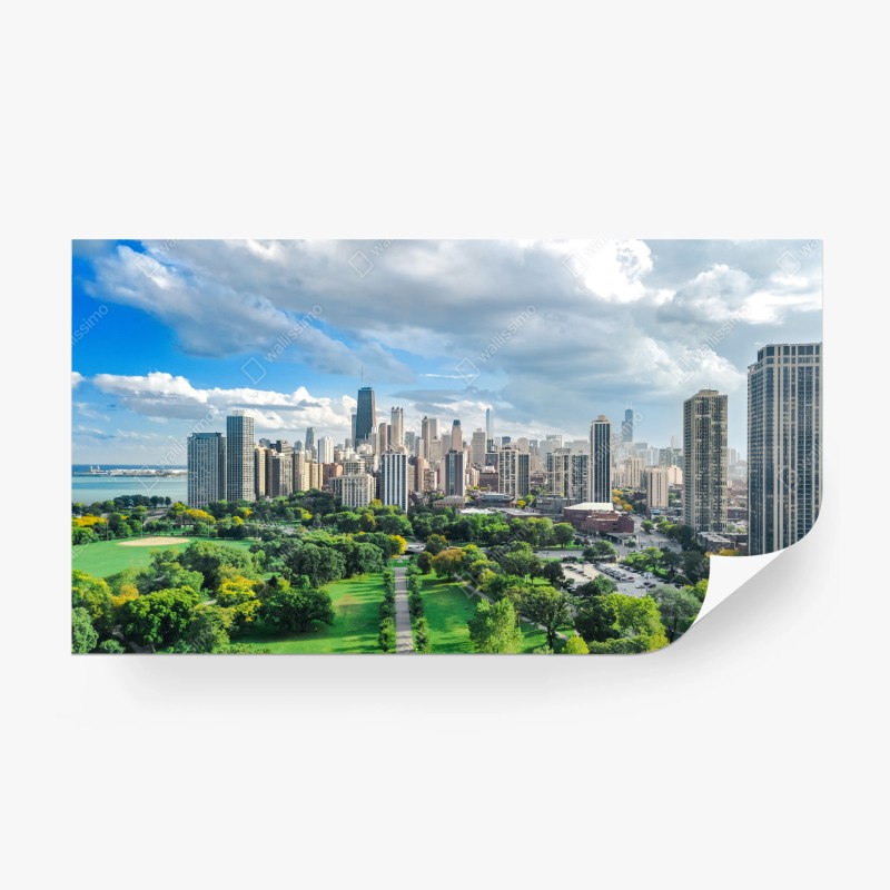 Carta da parati panoramica urbana di Chicago con parco e lago