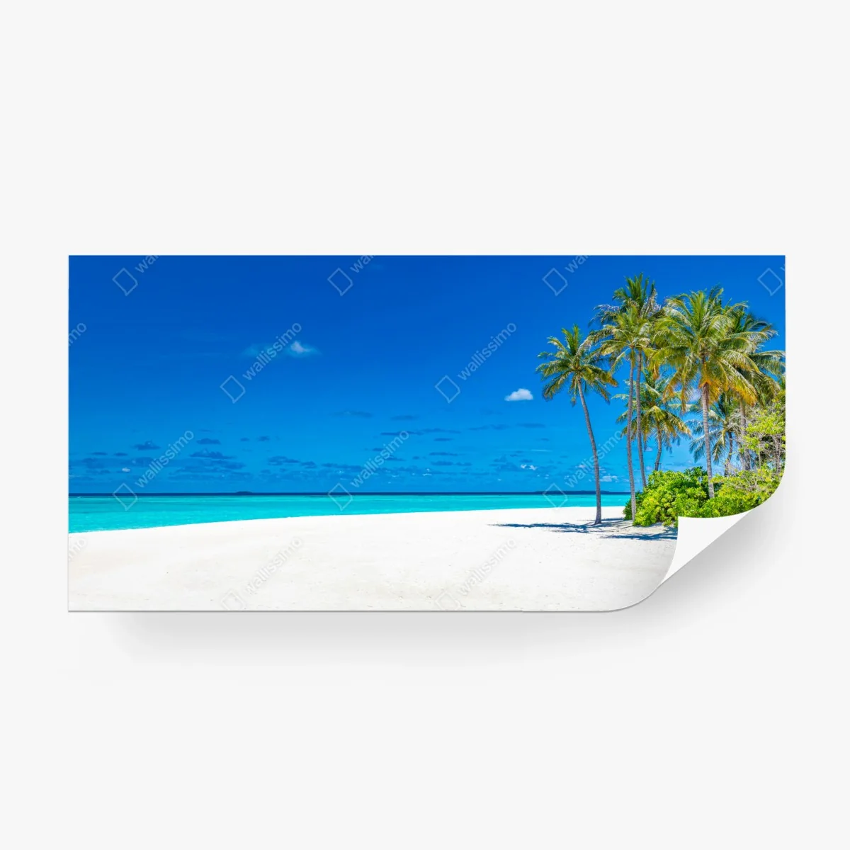 Carta da parati oasi tropicale sulla spiaggia • Wallissimo®