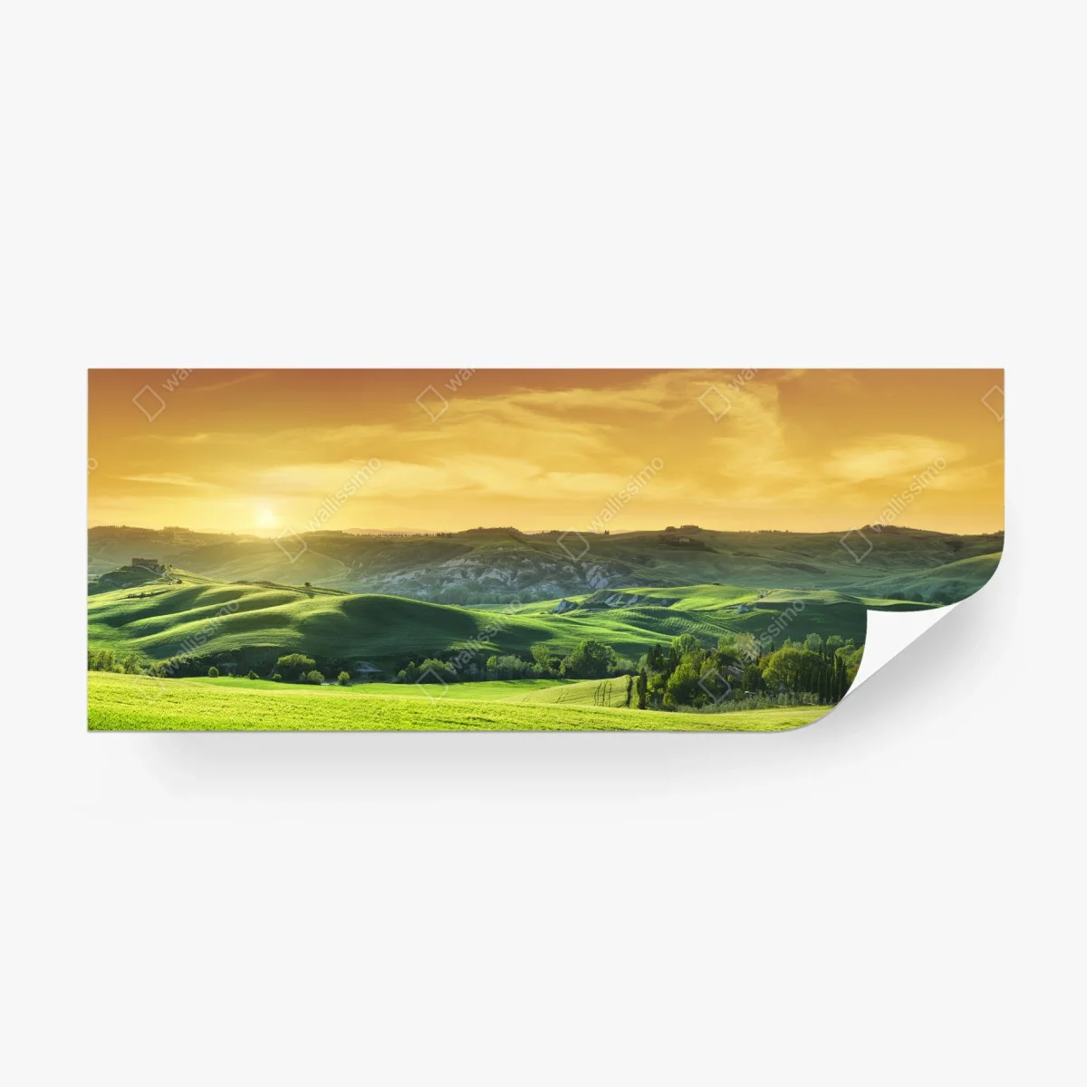 Carta da parati panorama sulle colline della Toscana al tramonto • Wallissimo®