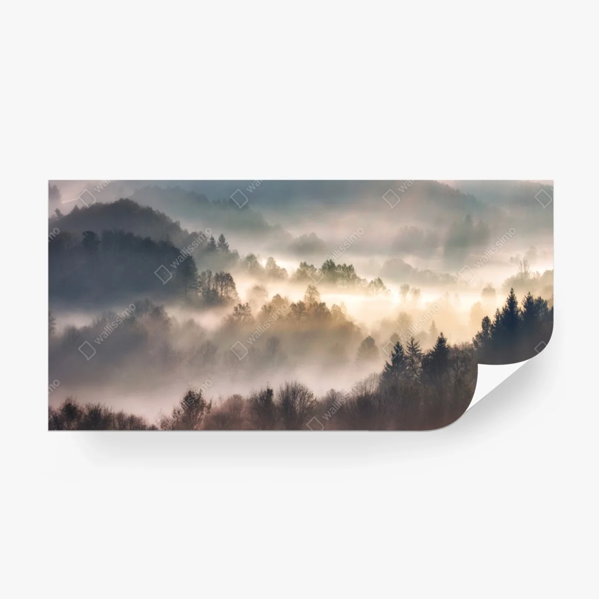 Carta da parati nebbia d'oro sulla foresta • Wallissimo®