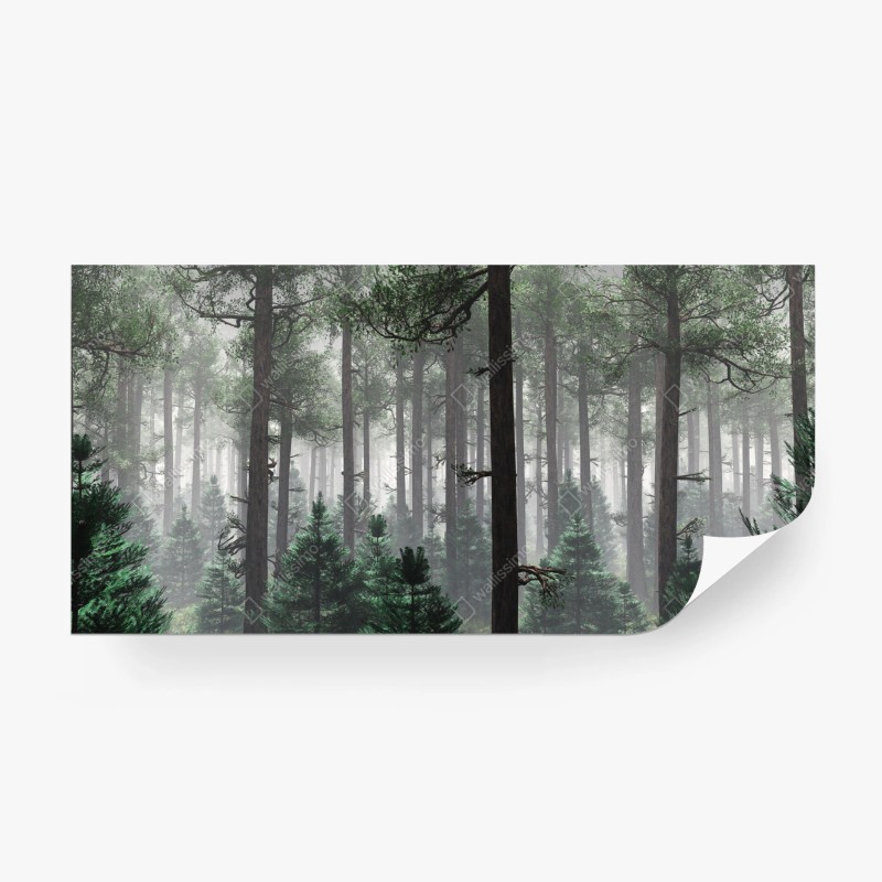 Carta da parati foresta avvolta nella nebbia