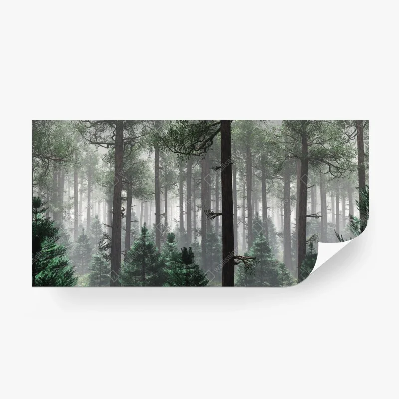 Carta da parati foresta avvolta nella nebbia • Wallissimo®