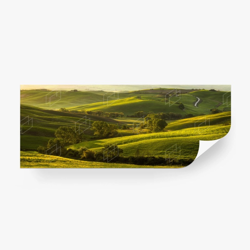 Carta da parati colline verdi dorate