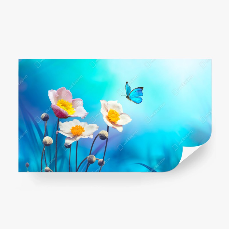 Carta da parati anemoni rosa e farfalla blu su sfondo celeste