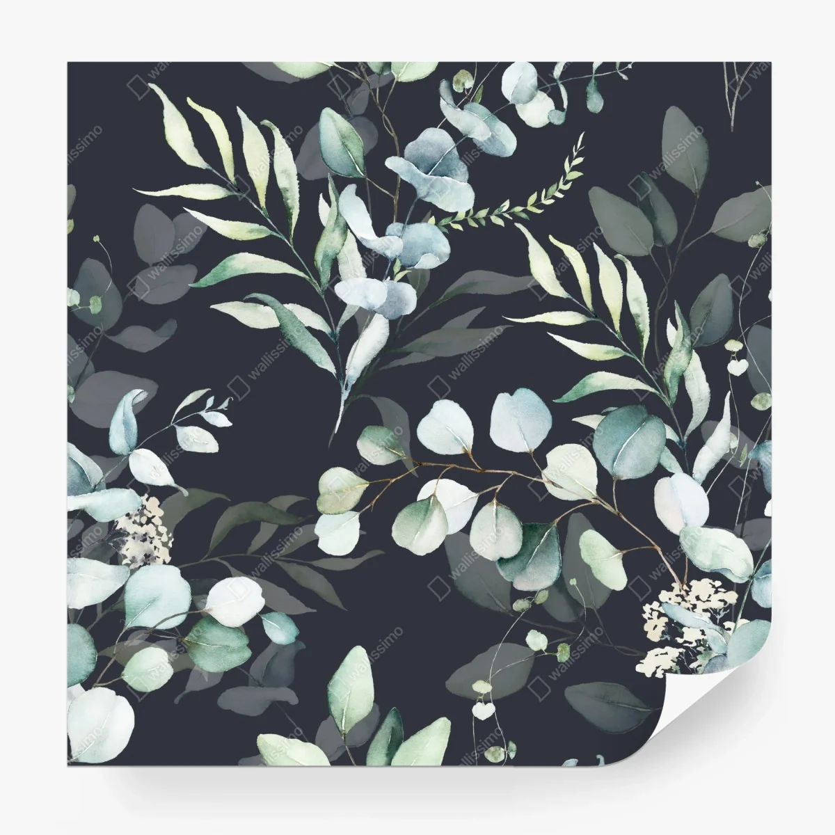 Carta da parati motivo botanico di eucalipto su sfondo scuro • Wallissimo®