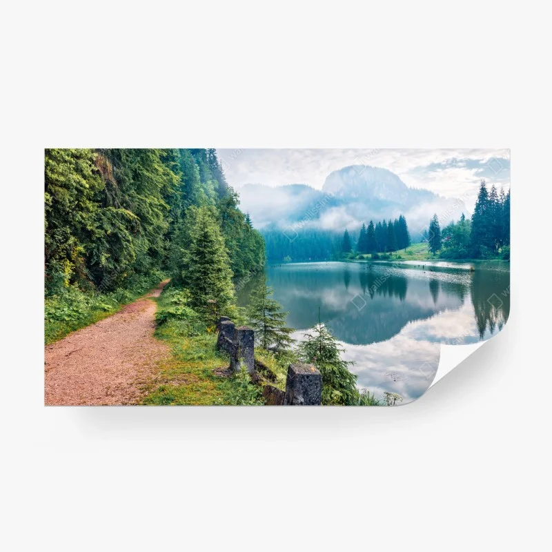 Carta da parati mattina nebbiosa al Lacu Roșu