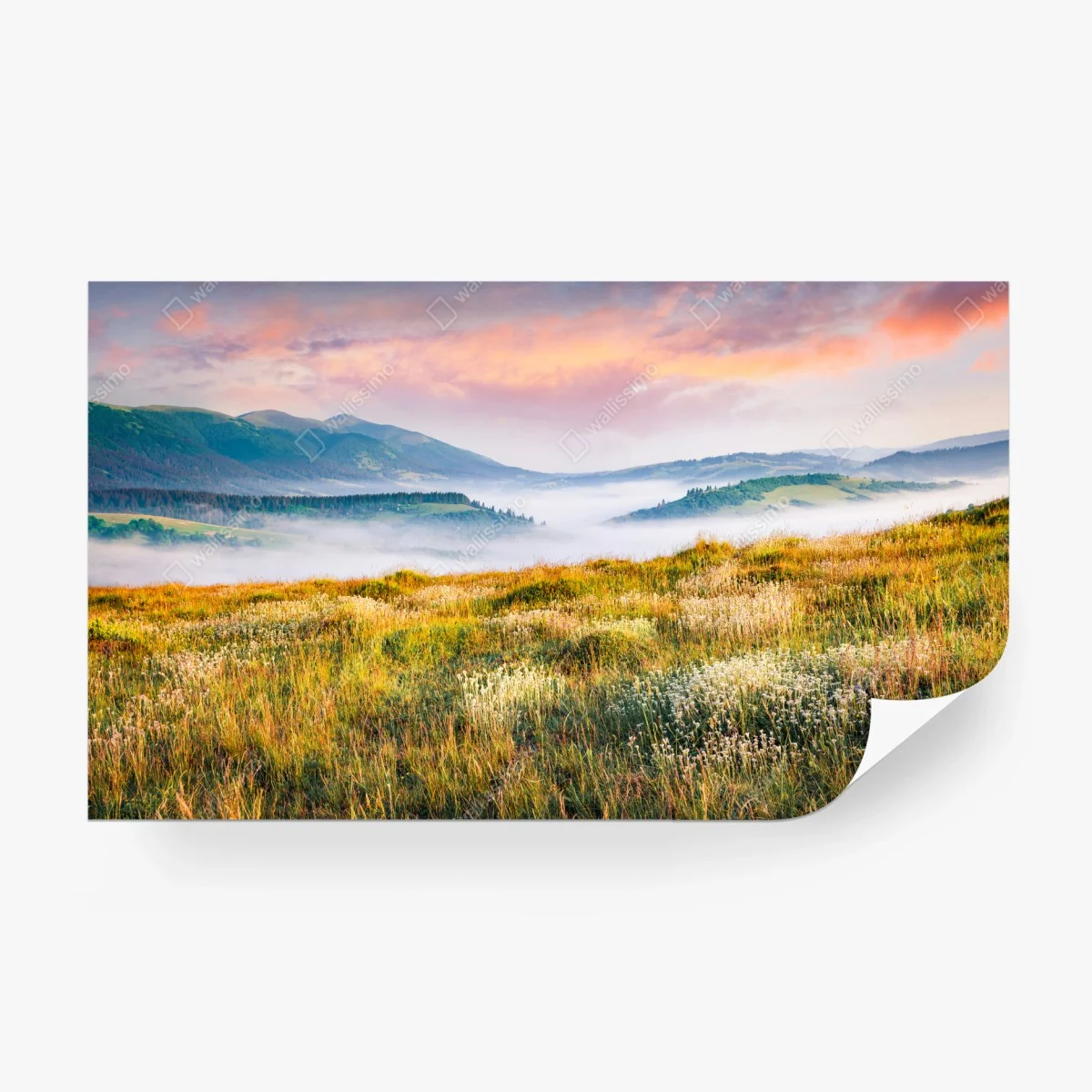 Carta da parati alba nebbiosa nei Carpazi • Wallissimo®