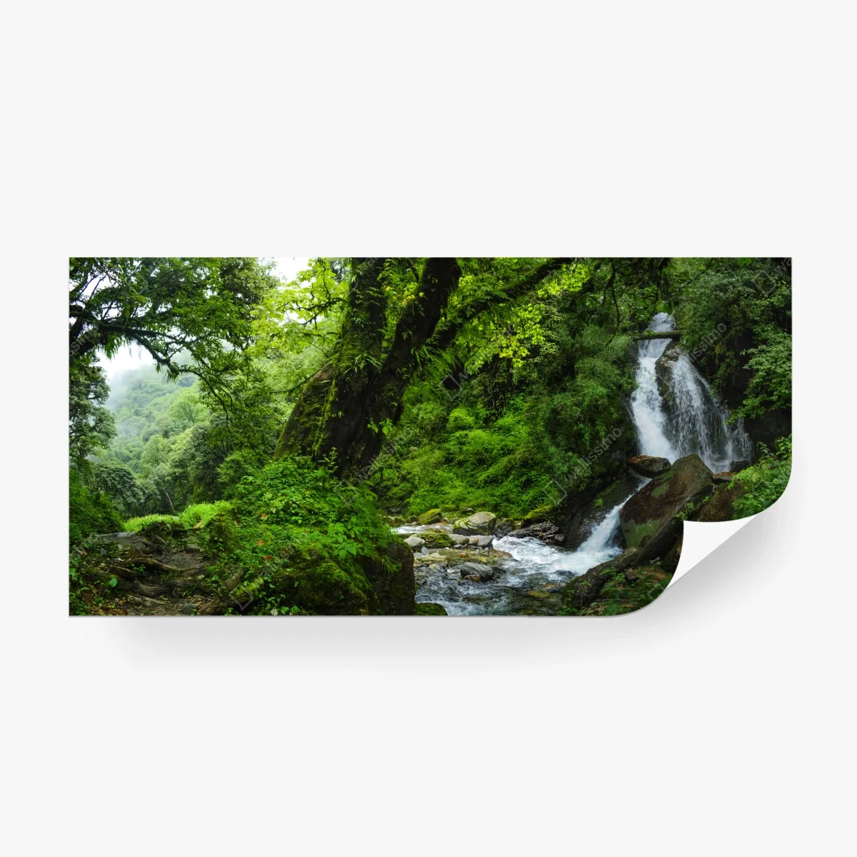 Carta da parati angolo verde: cascata nella foresta • Wallissimo® Carta da parati angolo verde: cascata nella foresta • Wallissimo®