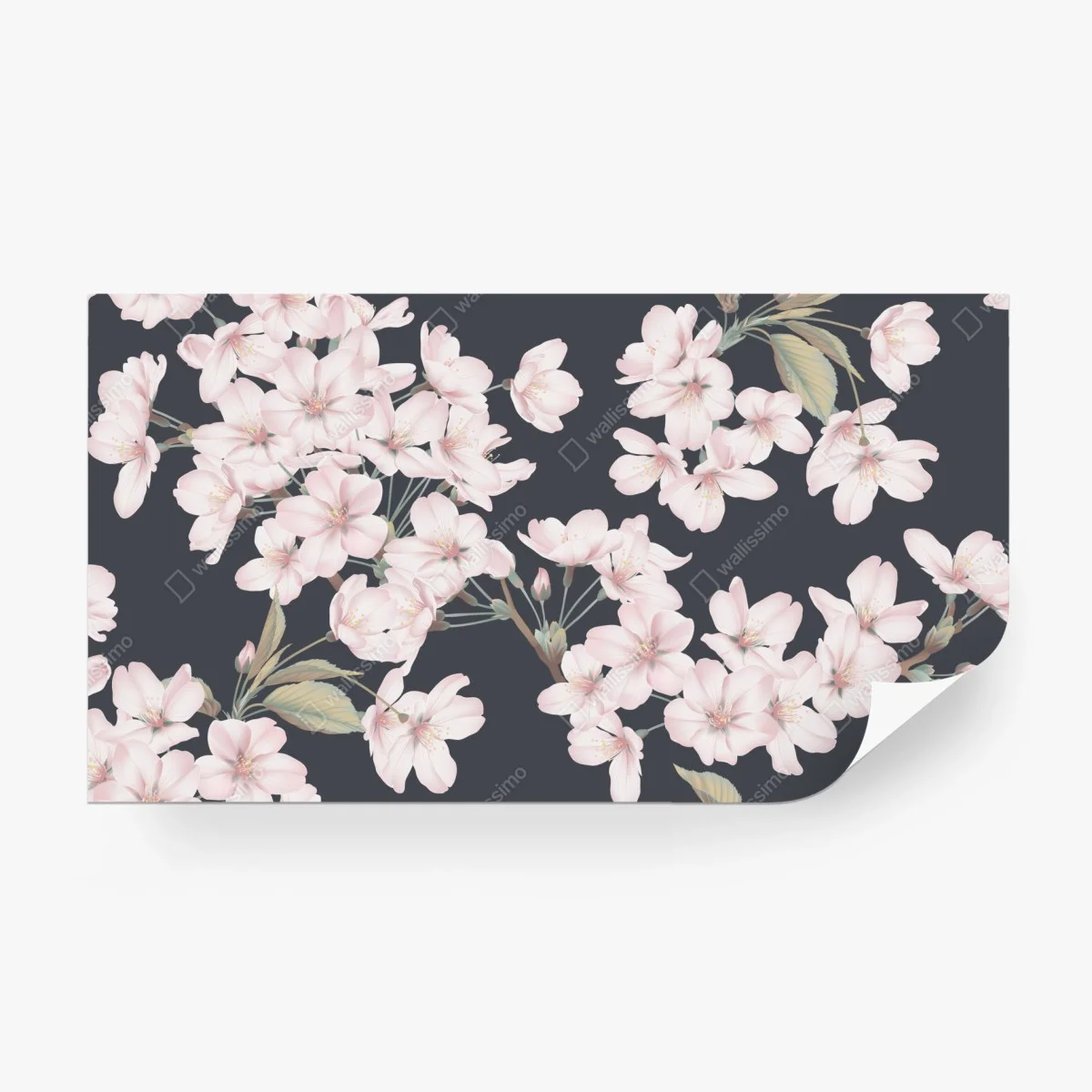 Carta da parati rami di ciliegio in fiore su sfondo scuro • Wallissimo® Carta da parati rami di ciliegio in fiore su sfondo scuro • Wallissimo®