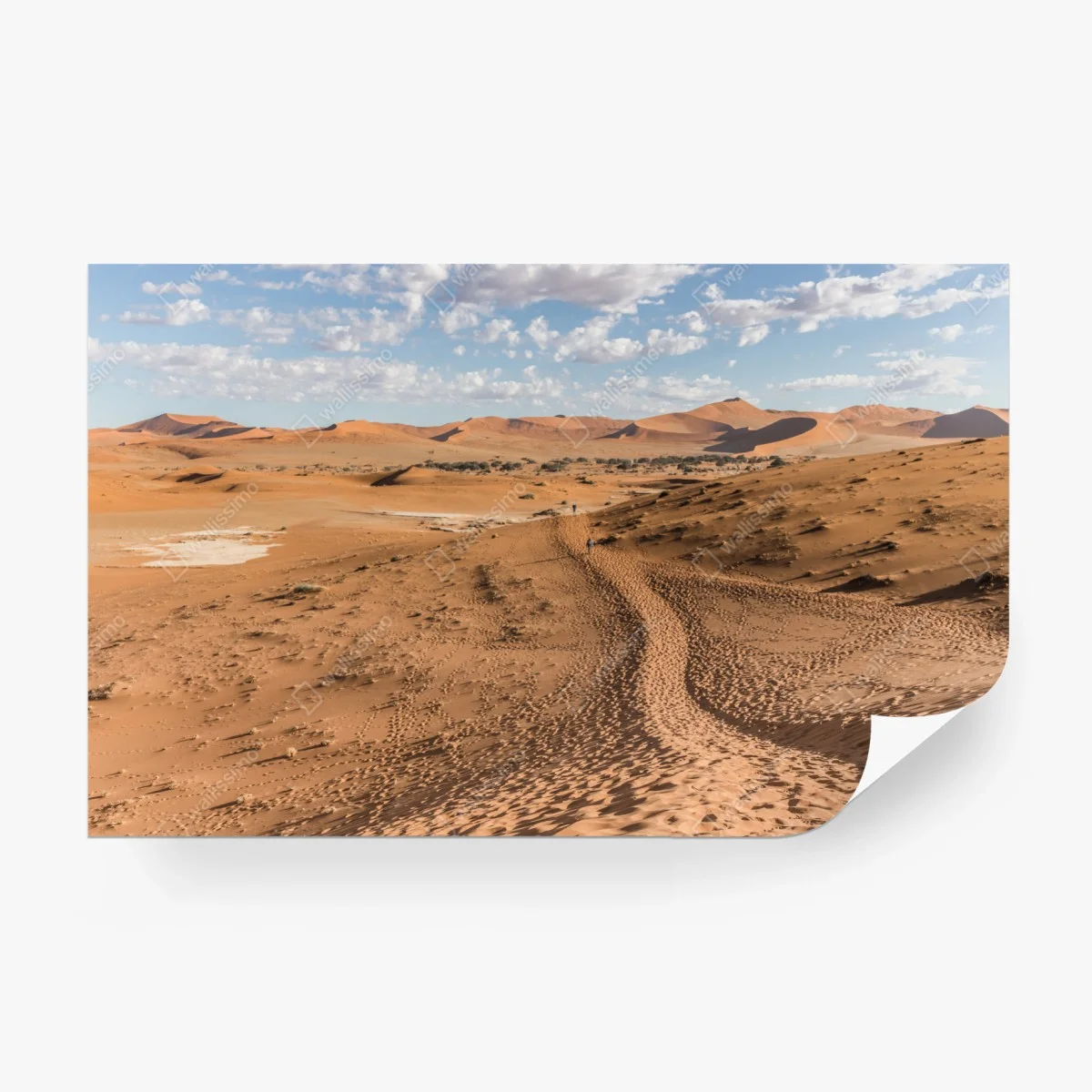 Carta da parati dune dorate all'orizzonte • Wallissimo®