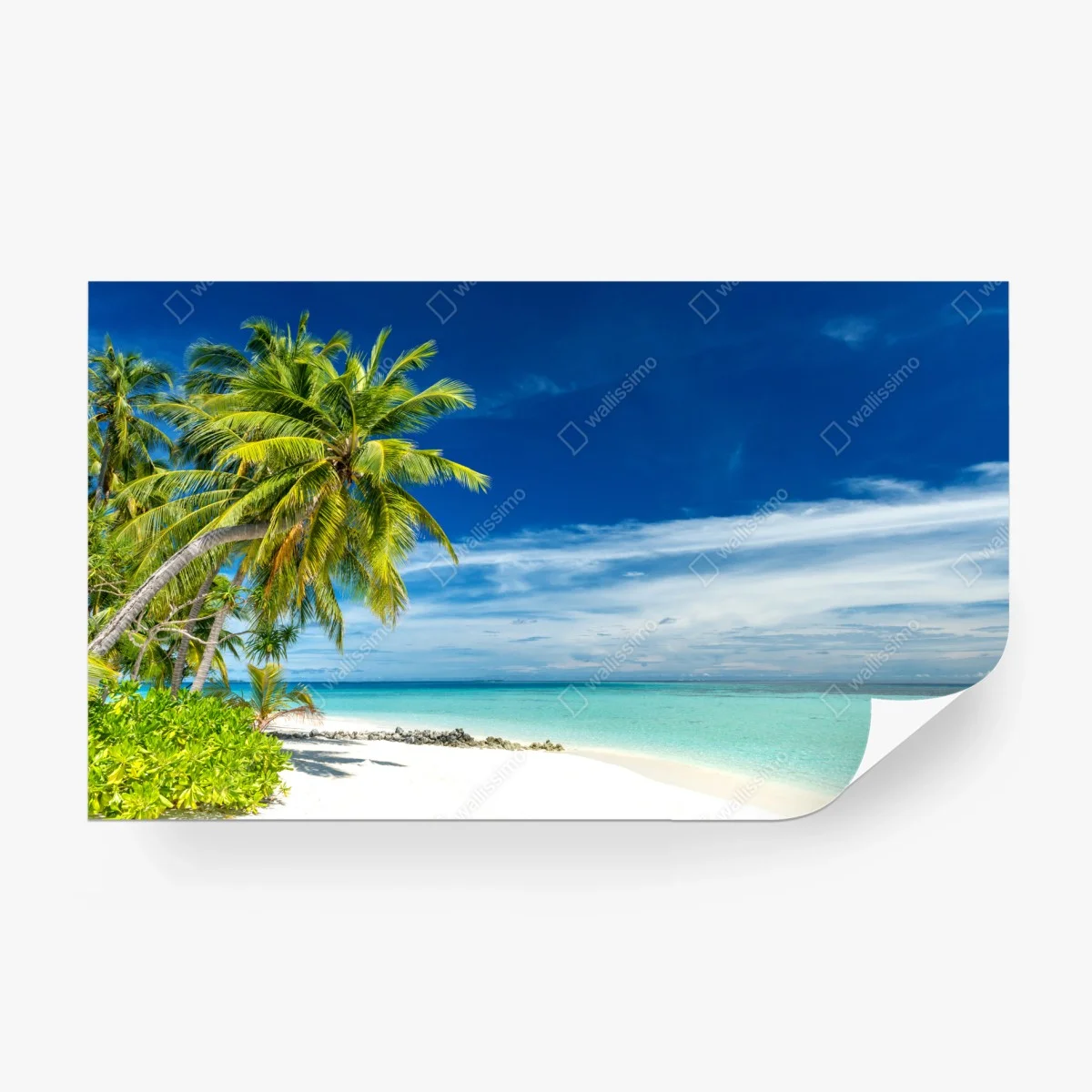 Carta da parati oasi tropicale di palme e mare turchese • Wallissimo® Carta da parati oasi tropicale di palme e mare turchese • Wallissimo®