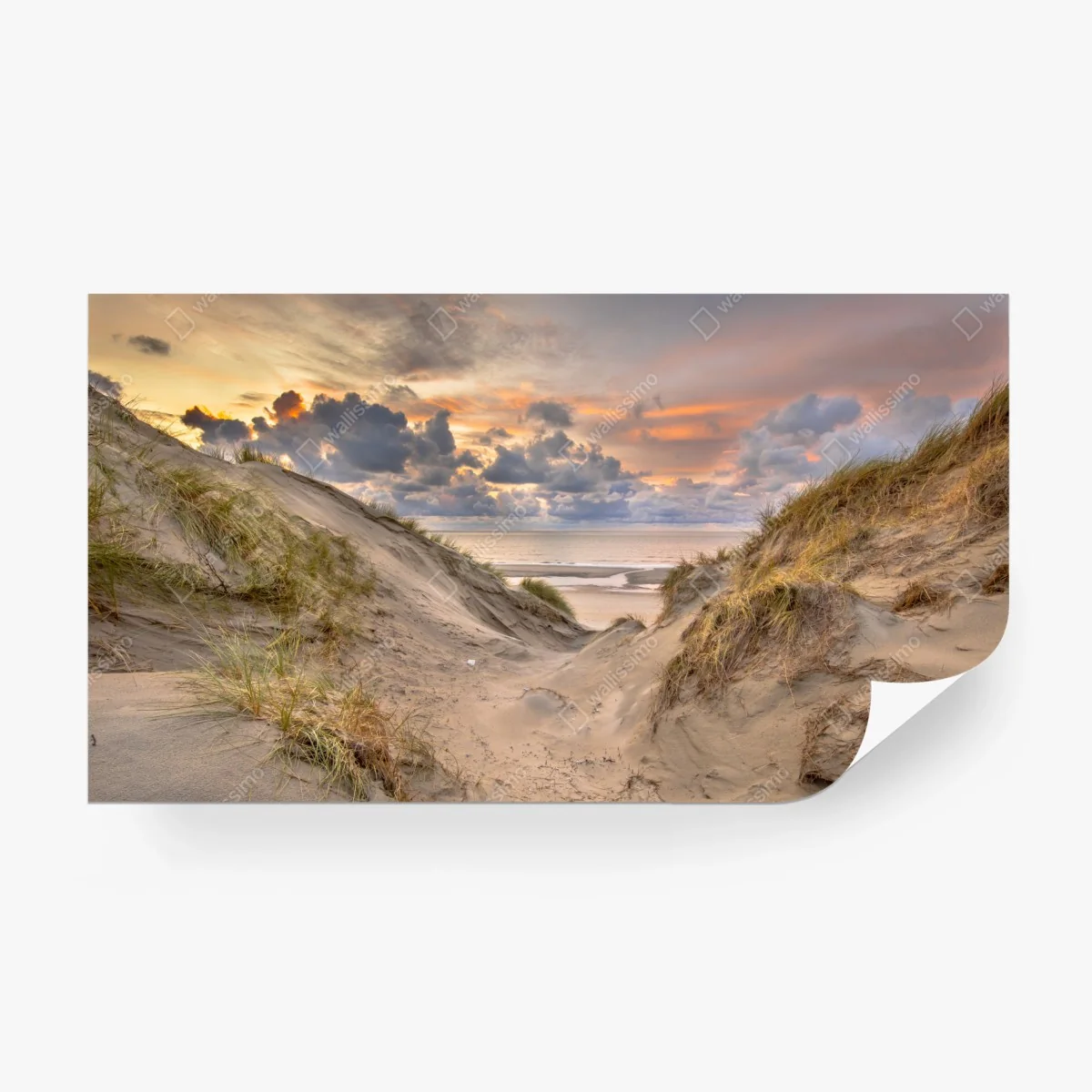 Carta da parati tramonto sulle dune di Zeeland • Wallissimo®