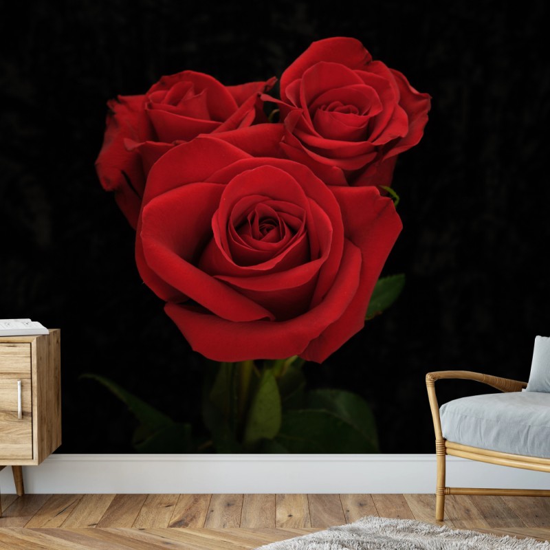 Carta da parati eleganza di rose rosse su sfondo nero