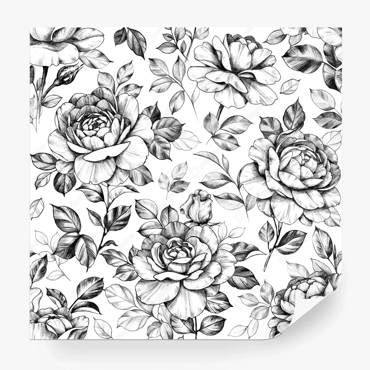 Carta da parati motivo di rose disegnate a matita in stile vintage • Wallissimo®