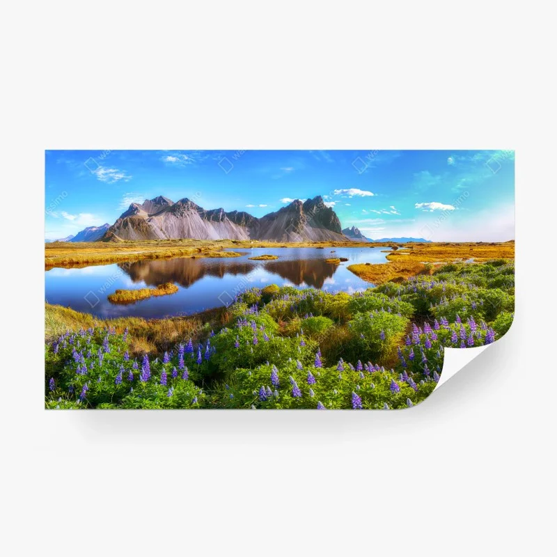 Carta da parati paesaggio di lupini a Vestrahorn, Islanda