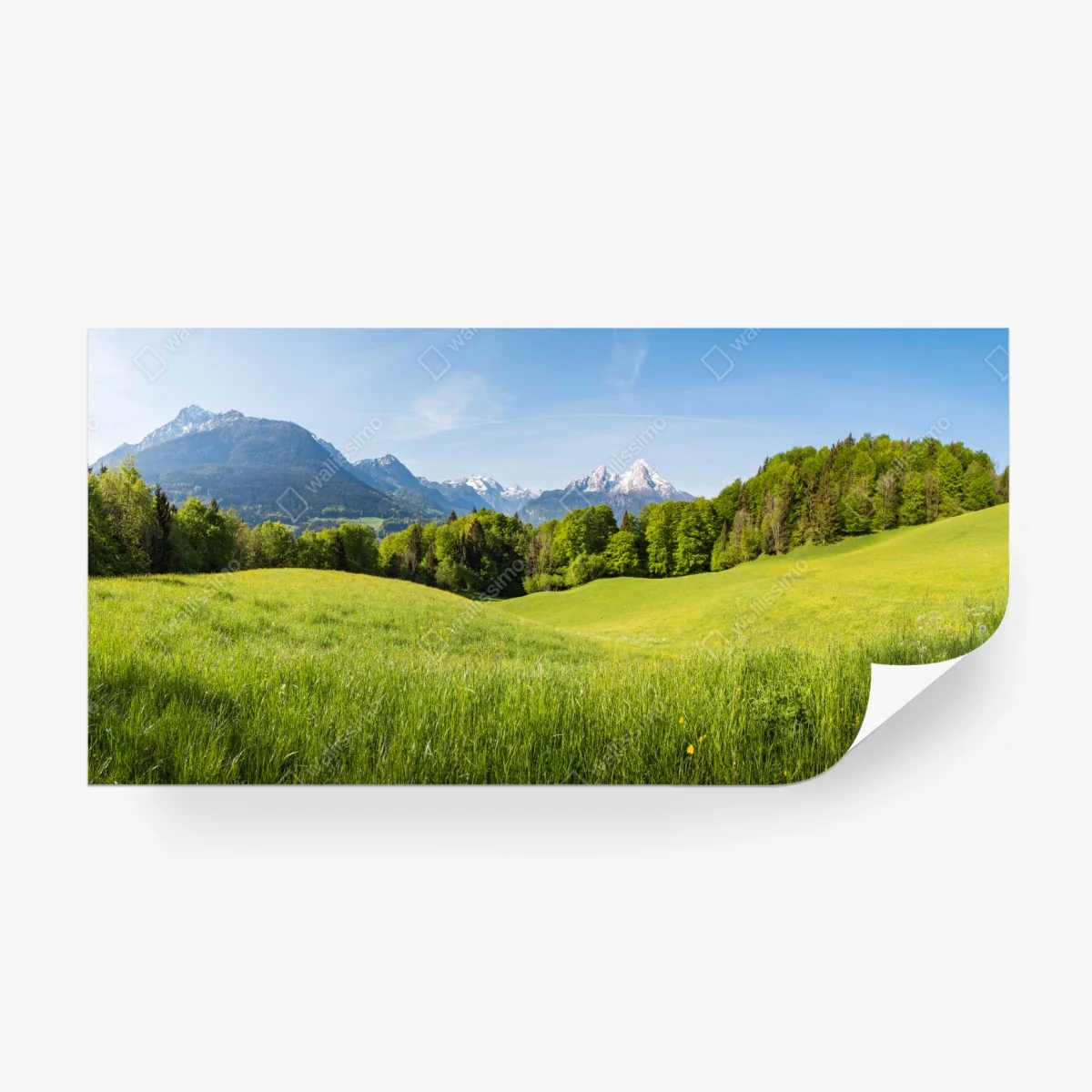 Carta da parati panorama montano primaverile • Wallissimo® Carta da parati panorama montano primaverile • Wallissimo®