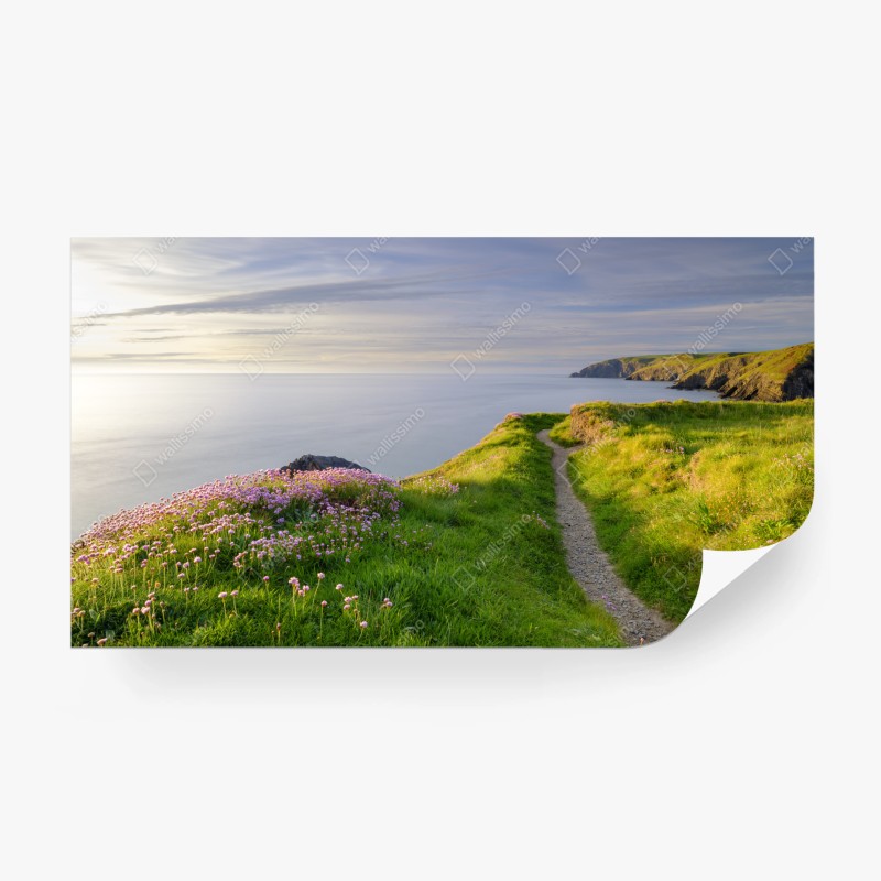 Carta da parati sentiero al tramonto a Ceibwr Bay