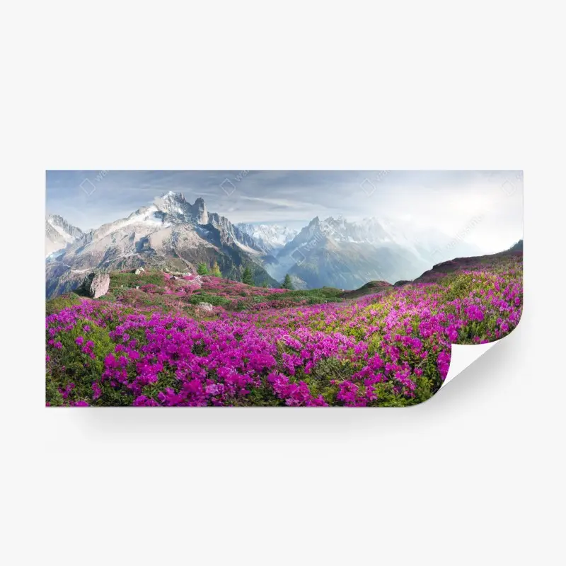 Carta da parati fioritura di rododendri ai piedi del Monte Bianco
