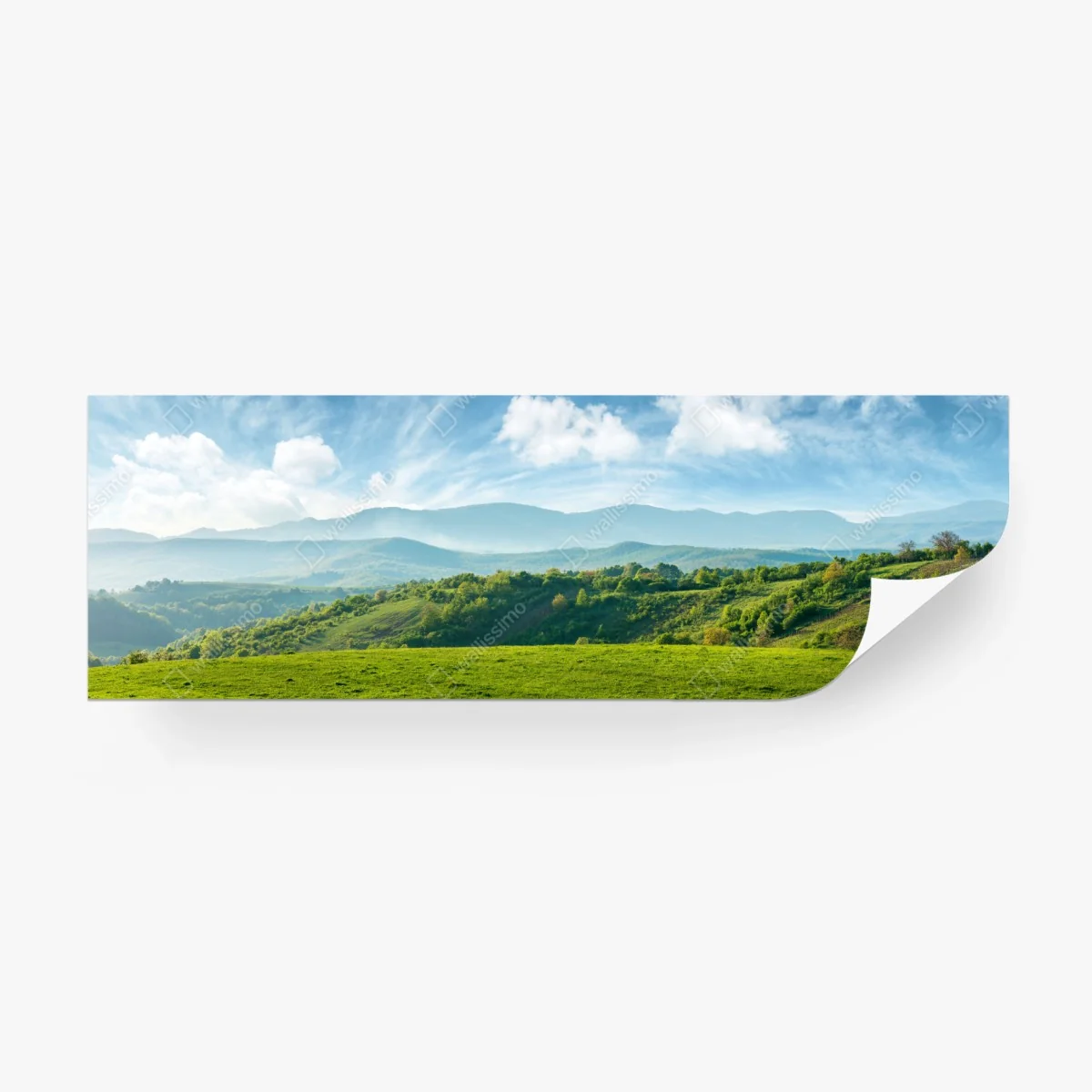 Carta da parati panorama primaverile sulle colline verdi • Wallissimo®