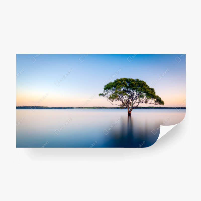 Carta da parati albero solitario sul lago al tramonto