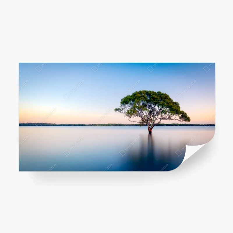 Carta da parati albero solitario sul lago al tramonto