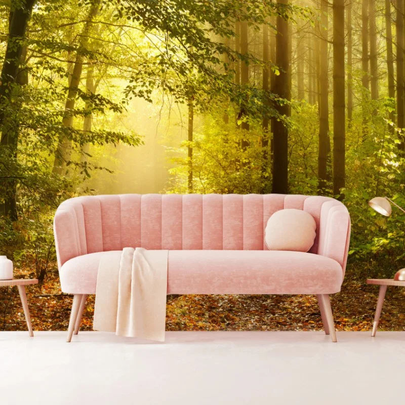 Carta da parati sentiero dorato nella foresta