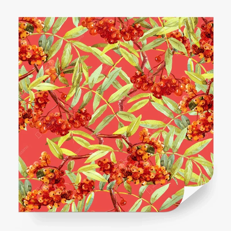 Carta da parati motivo botanico di bacche di sorbo su sfondo corallo