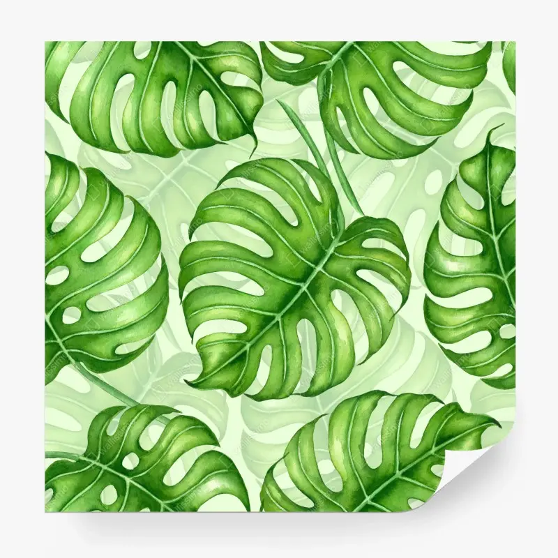 Carta da parati motivo botanico di foglie di monstera in acquerello
