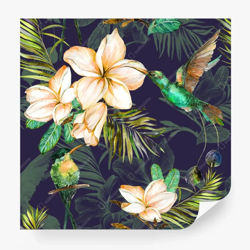 Carta da parati motivo tropicale con colibrì e plumeria su sfondo scuro