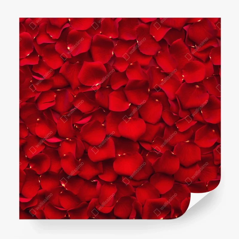 Carta da parati mosaico di petali di rosa rossa