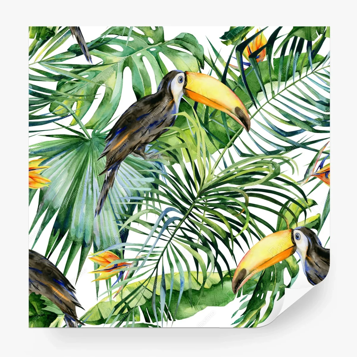 Carta da parati tucani nella giungla tropicale acquerellata • Wallissimo® Carta da parati tucani nella giungla tropicale acquerellata • Wallissimo®