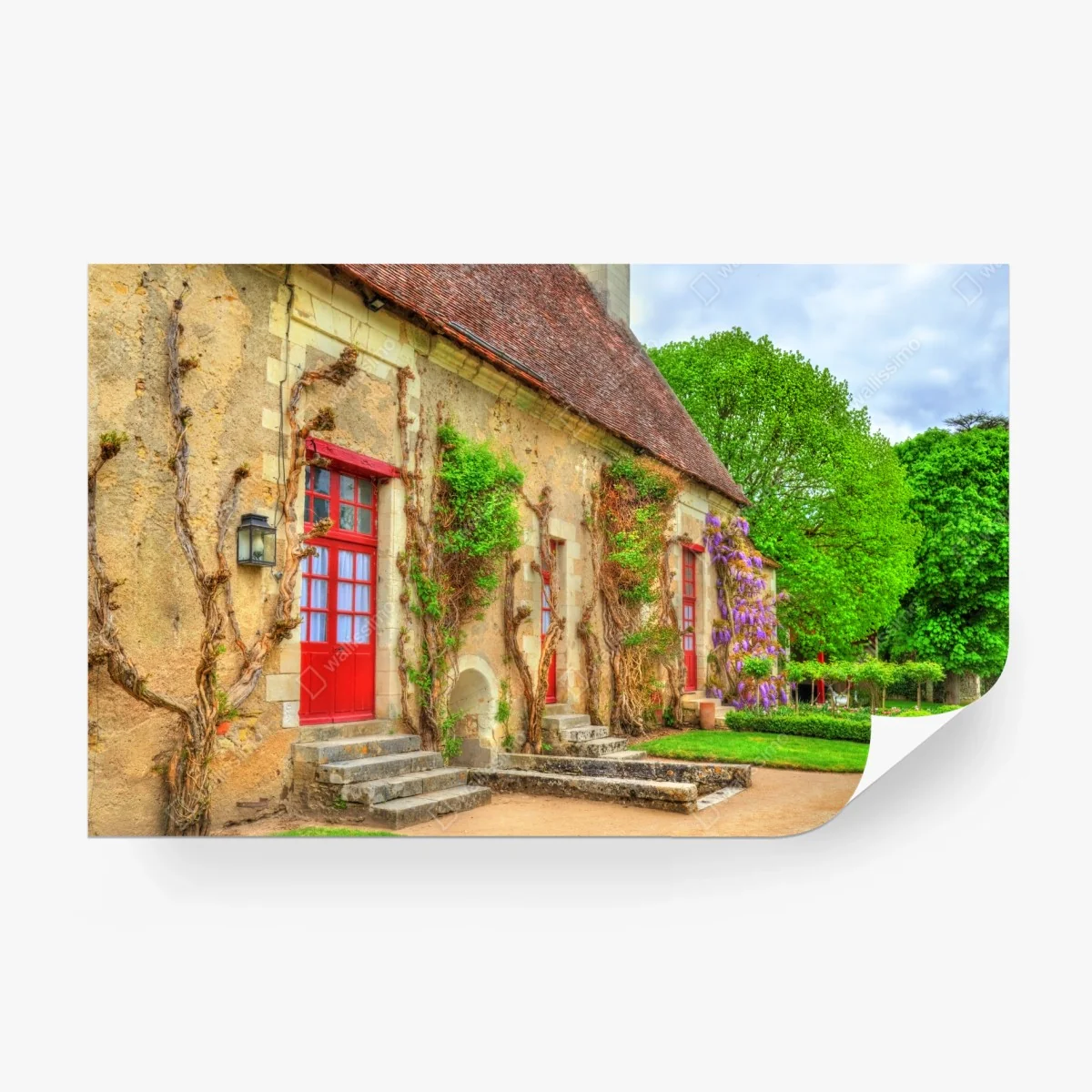 Carta da parati facciata di campagna con porte rosse e glicine • Wallissimo®