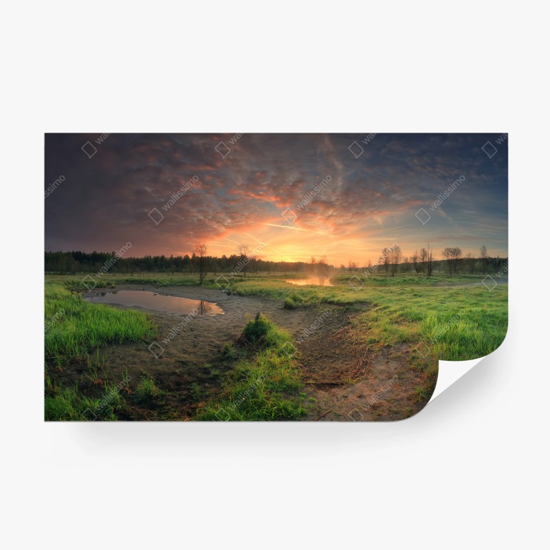 Carta da parati tramonto dorato sulla palude